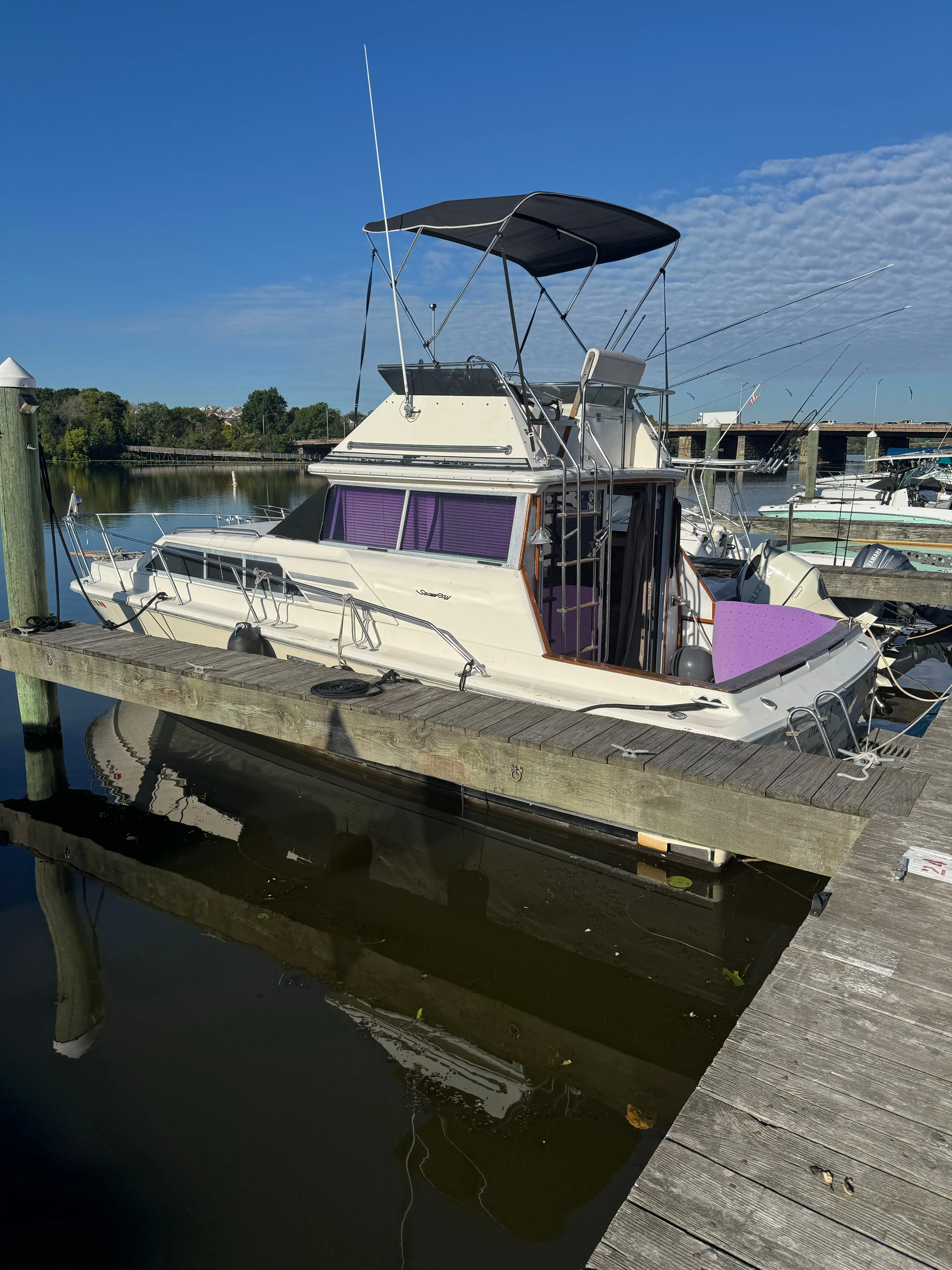Blue and white cruiser secured on trailer before final transport